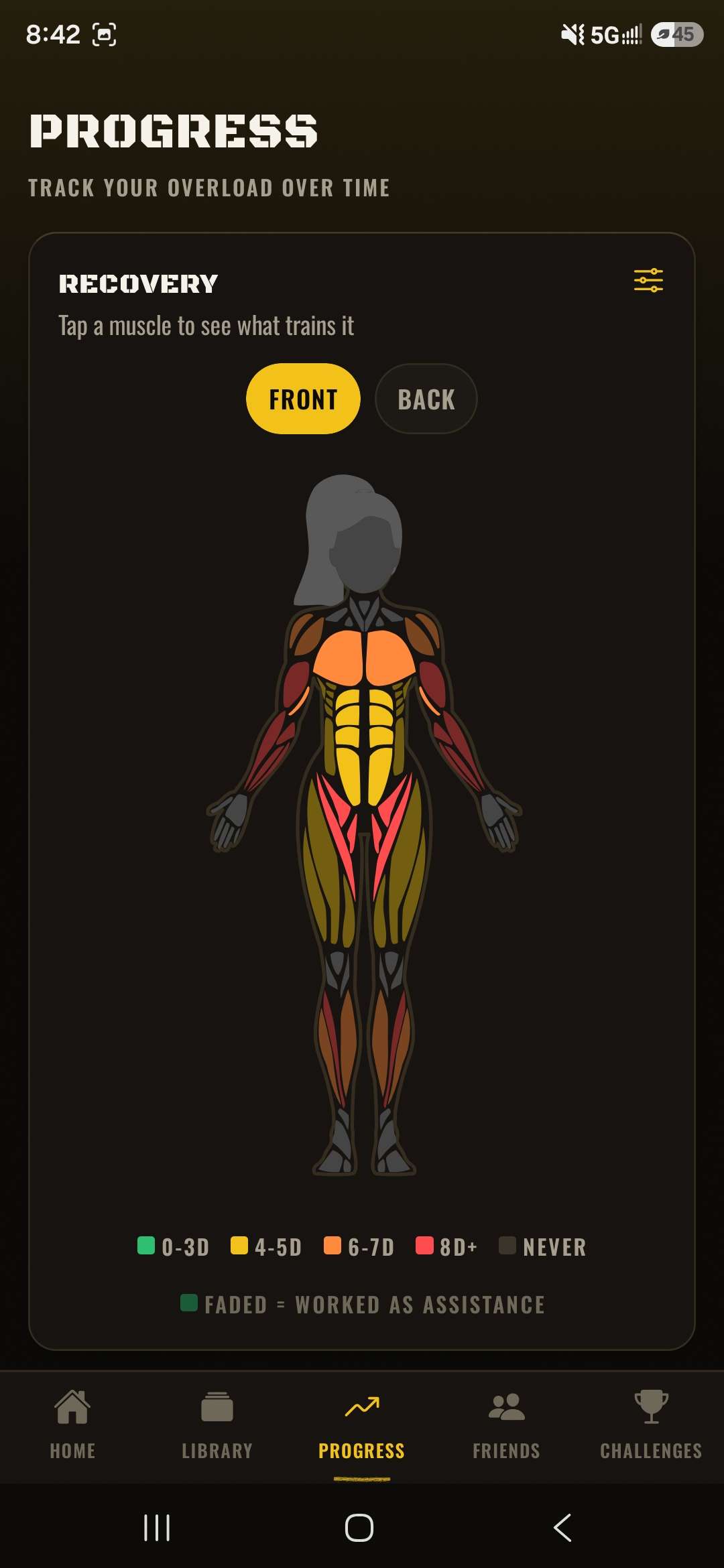 Progress — muscle recovery map